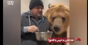 ویدئوی عجیب از غذا خوردن یک خرس با قاشق