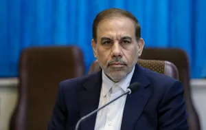 سخنگوی قوه قضائیه: مانعی برای اجرای حکم قصاص وجود ندارد / دیه پرونده الهه حسین‌نژاد تأمین شد