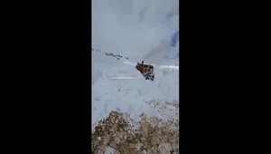 اینجا سیبری نیست؛ گردنه چری کوهرنگ زیر برف بی‌سابقه