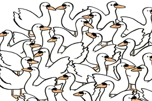 معمای تصویری؛ افراد با دقت زیر 15 ثانیه به جواب می رسند