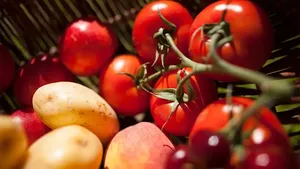 اگر دهان و دندان سالمی می خواهید؛ این گیاه قرمز را زیاد بخورید