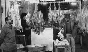 گوشت گاو جای گوشت گوسفند را در سفره ایرانی گرفت؛ دی ۱۳۴۴ + جزئیات