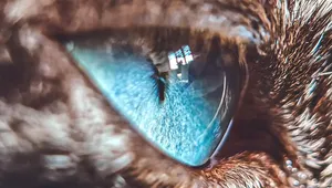 میهمانی رنگ‌ها در آستانه بهار؛ نگاهی میکروسکوپی به جزئیات خیره‌کننده طبیعت (تصویری)